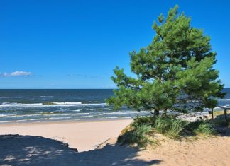 wakacje nad morzem Bałtyckim