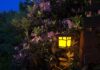 Jakie lampki ogrodowe wybrać? 5 pomysłów na oświetlenie ogrodu!