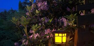Jakie lampki ogrodowe wybrać? 5 pomysłów na oświetlenie ogrodu!