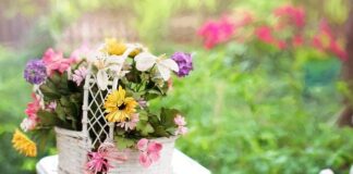 Jak wypoziomować słupki ogrodzeniowe?