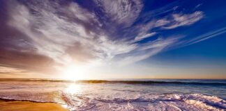 Co robi piasek dodany do gleby?