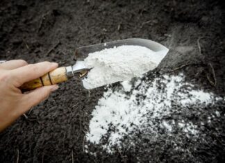 Dolomit w ogrodnictwie Dolomit w ogrodnictwie