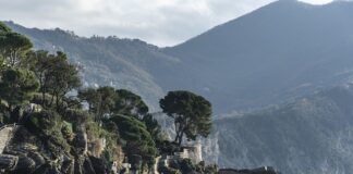 Ile kosztuje najdroższa torebka Gucci?