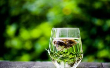 Co się nosi w torebce?