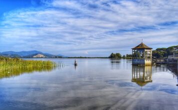 Czy Puccini to polska firma? Czy Puccini to polska firma?