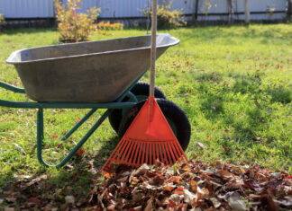 Zielona rewolucja: sprzątanie terenów zielonych w nowoczesnym stylu sprzątanie terenów zielonych w nowoczesnym stylu