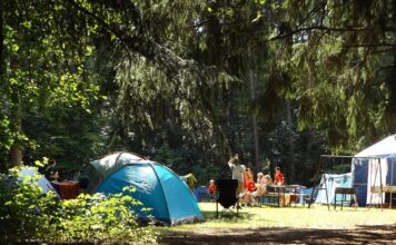 Półkolonie dla dzieci jako bezpieczny pierwszy krok poza domową rutynę półkolonie dla dzieci